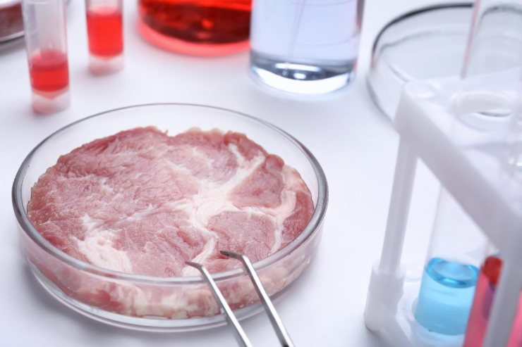 Bistecca sintetica in laboratorio
