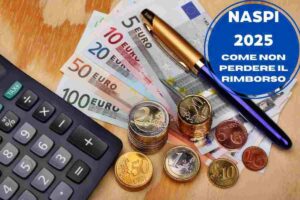 Calcolatrice euro penna e scritta Naspi 2025