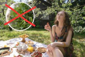 ragazza mangia all'aperto e insetti nel riquadro