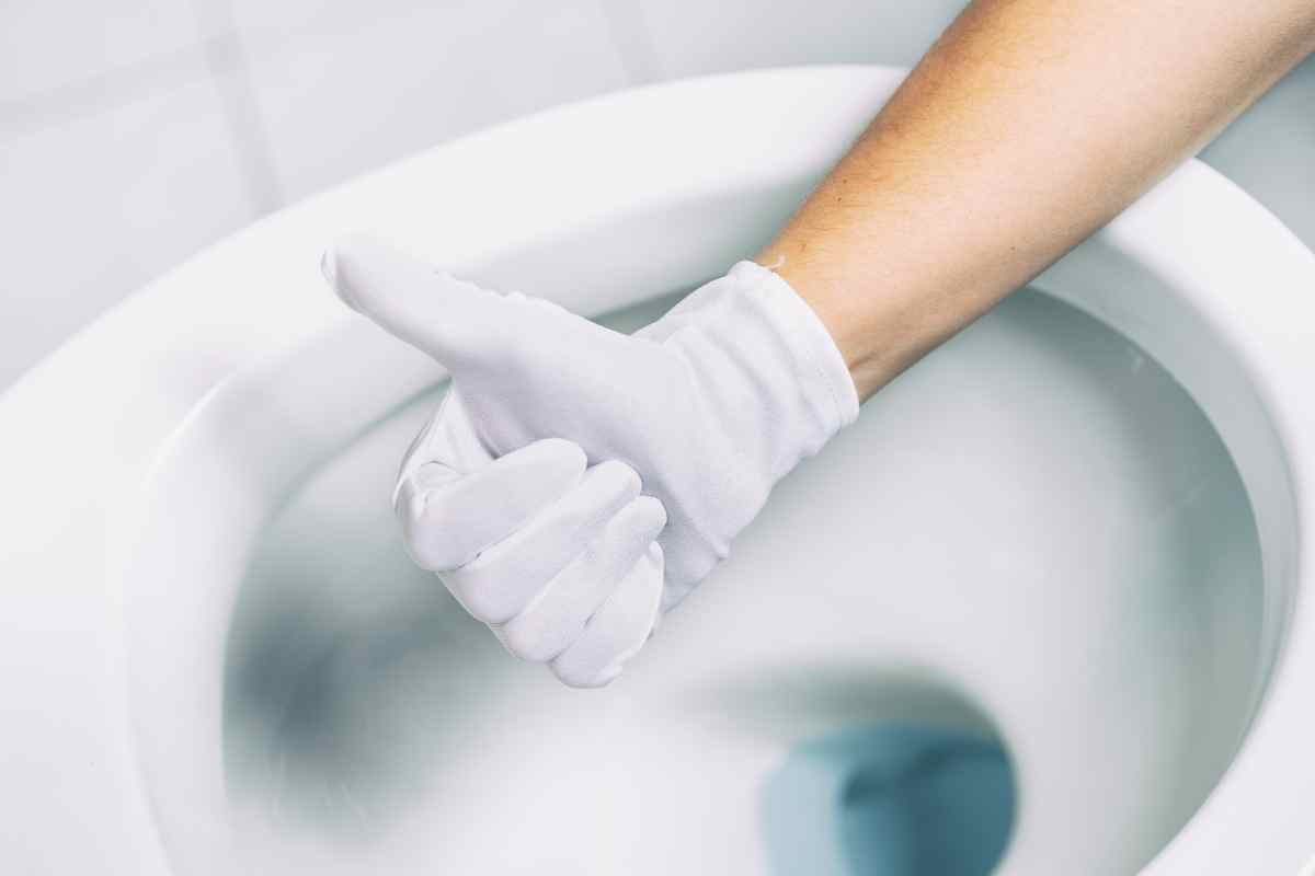 wc pulito mano con pollie in su