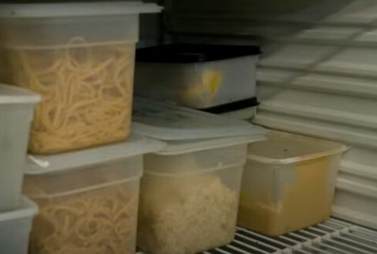 Contenitori pasta precotta