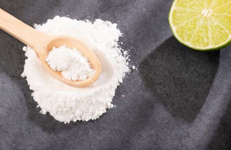 Bicarbonato di sodio