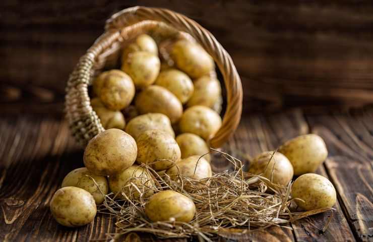 Patate