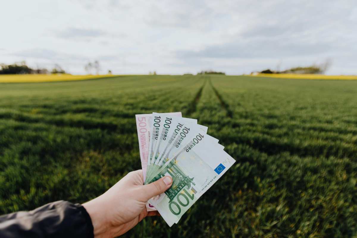 Una mano che regge delle banconote da 500 euro