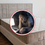 Featured image placeholder 16:9